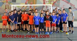 UNSS (Handball)