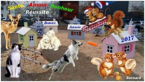 Bonne année 2017