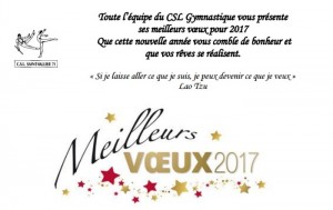 CSL Gymnastique (Saint-Vallier)