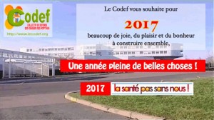 Bonne année 2017