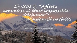 Bonne année 2017