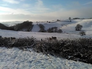 Photos de neige de nos lecteurs…