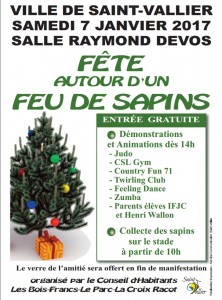 La fête autour d&rsquo;un feu de sapins (Saint-vallier)