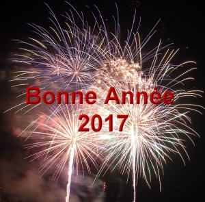 Bonne année  2017…