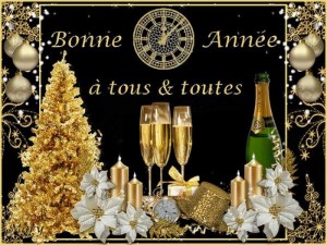 Bonne année 2017