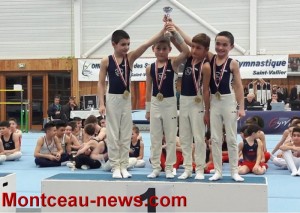Alliance Elan Gymnique Montcellienne (gym)