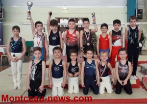 Alliance Elan Gymnique Montcellienne (gym)