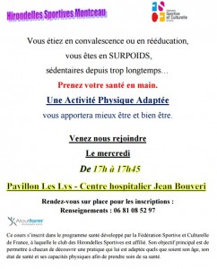 Hirondelles Sportives (Montceau-les-Mines)