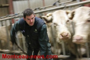 Agriculture – Le nouveau président des jeunes agriculteurs 71 est de Ciry-le-Noble