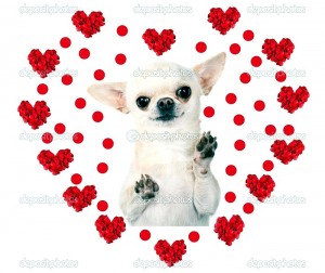 Saint Valentin 2017 – Dites-lui : » Je t’aime » sur Montceau-news !