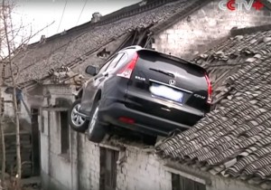 Insolite