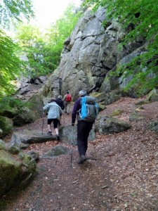 « Vouivre en chemins » (Randonnée)