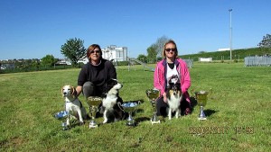 Educ Agility Passion Sanvignes