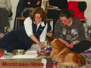 Conférence (Les Bizots)