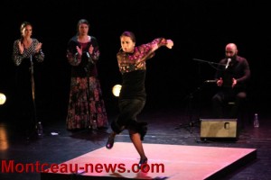 Ouverture du festival « ça danse dans le bassin » à Saint-Vallier