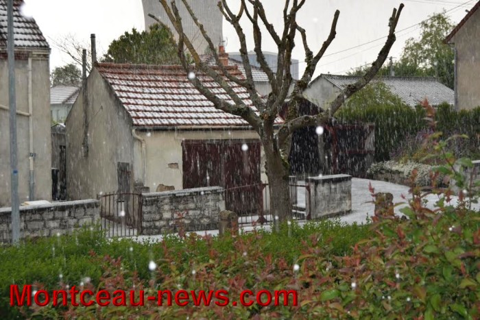 grele 27041712