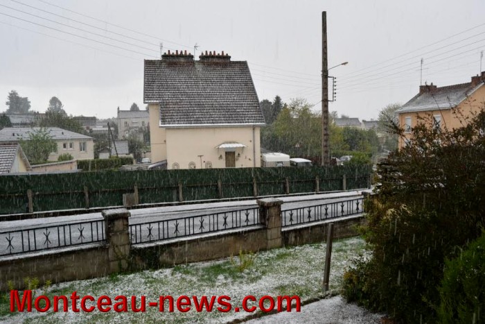 grele 2704174