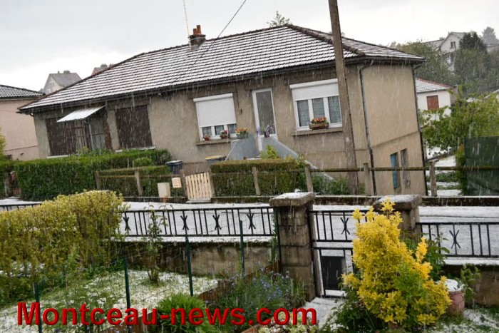 grele 2704176