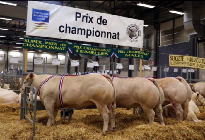 leclerc 0704173