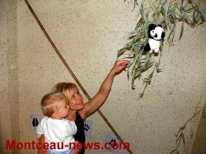 Insolite – visite au Zoo des animaux en peluche (Montceau)