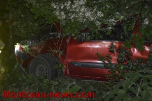 Faits divers – ce jeudi soir à Blanzy : un automobiliste fonce dans la forêt du Plessis…