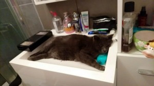 Disparu au Magny (Montceau)