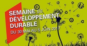 Développement durable (CCM)