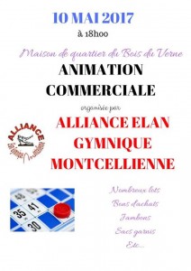 Alliance elan gymnique montcellienne (Montceau)