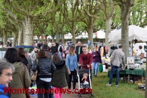 Brocante du PCF au Lac du Plessis