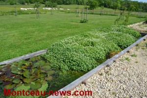Nouvelle édition du Salon dans le Pré