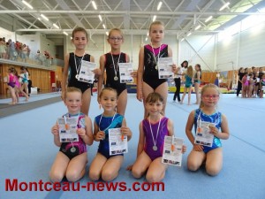 Etoile Sportive de Sanvignes (Gym)