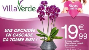 Villaverde (Montceau – Gourdon)