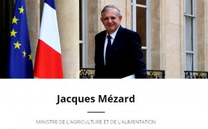 Second tour des législatives 2017 – 2ème circonscription (Politique)