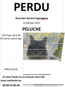 Disparu à Sanvignes