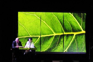 « Un arbre tout neuf » (CCM)
