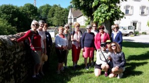 Hirondelles Sportives Montceau (Gym)
