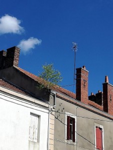 Insolite (Montceau)