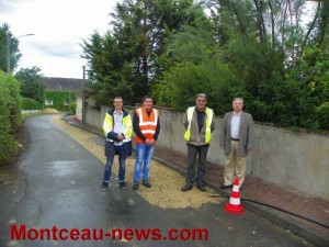 Travaux communautaires ( Sanvignes)
