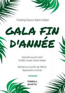 Gala fin d’année du Feeling Dance (Saint-Vallier)
