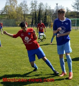 Mercato (Régional 1)
