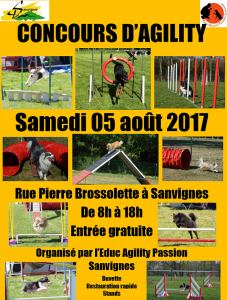 Concours d’agility EAP Sanvignes