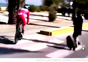 En cette période de fin de tour de France un vidéo insolite…