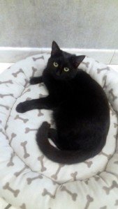 Disparue depuis 3 jours au Bois du Verne (Montceau)