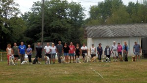 Education Sport Canin Montcellien