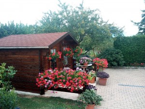 Les fleurs de Mamie Micheline (Blanzy)
