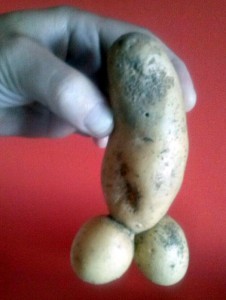 Curiosité de la nature !