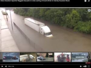 Insolite (Voir la vidéo)