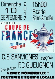 C.S.Sanvignes (Foot)