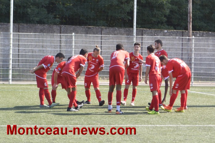 foot 2509174