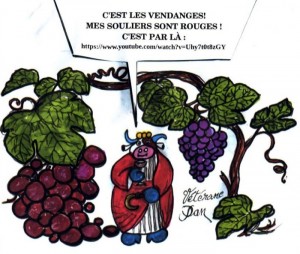 La pensée de la Joyeuse du lundi